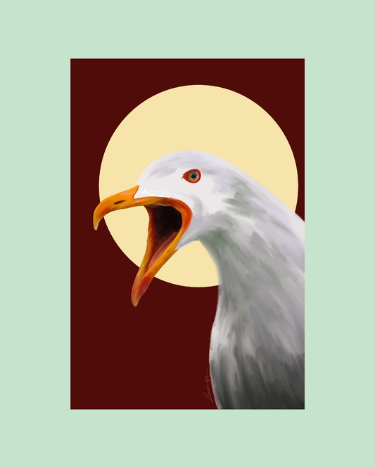 Illustration Le cri du Goéland Soleil levant