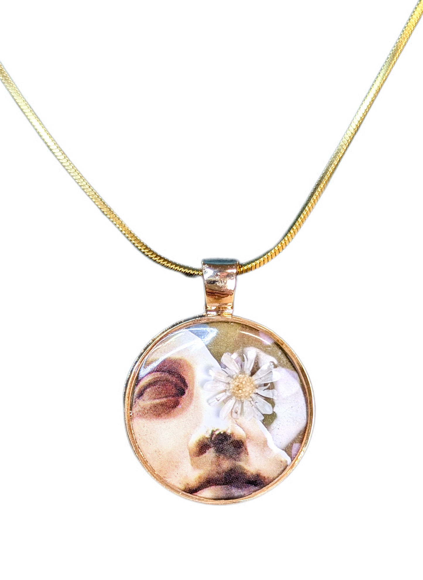 Collier David adouci par la marguerite du matin