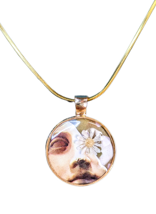 Collier David adouci par la marguerite du matin